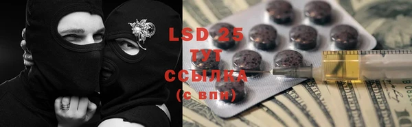 PSILOCYBIN Кодинск